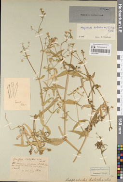 LE 01219607