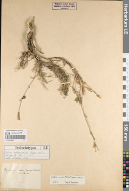 LE 01219692