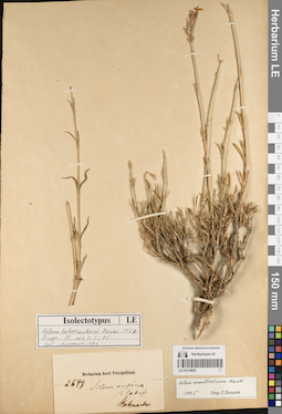 LE 01219693