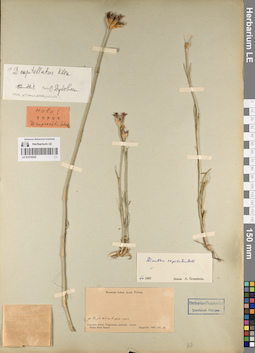 LE 01219535