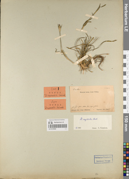 LE 01219536