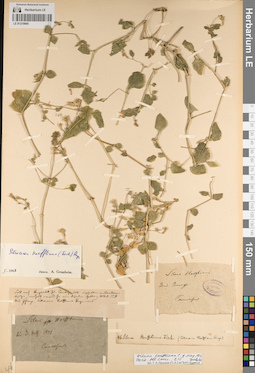 LE 01219695