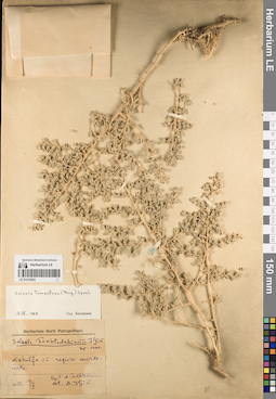 LE 01219303
