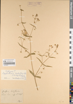 LE 01219611