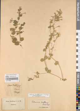 LE 01219696