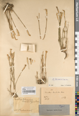 LE 01219538