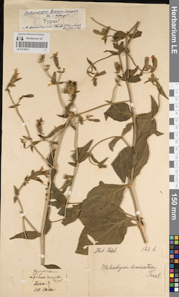 LE 01219612