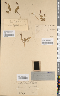LE 01219701