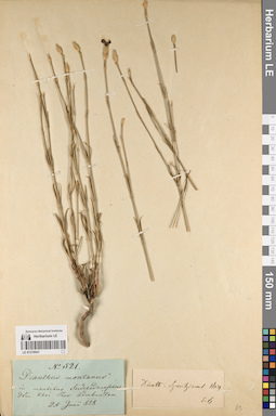 LE 01219541