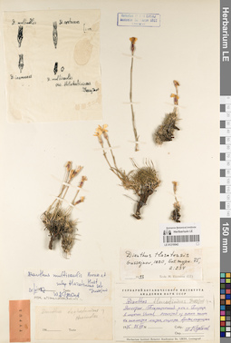 LE 01219542