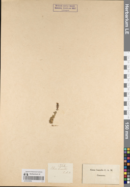 LE 01219703