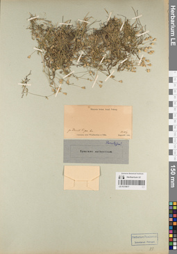 LE 01219617