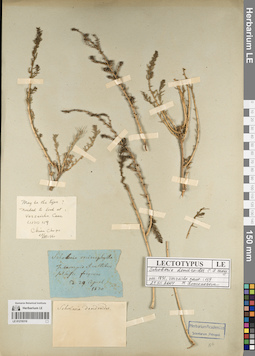 LE 01219310