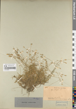 LE 01219618