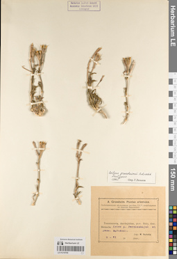 LE 01219705