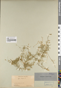 LE 01219619