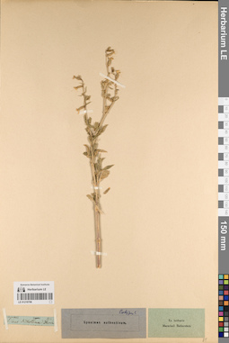 LE 01219706