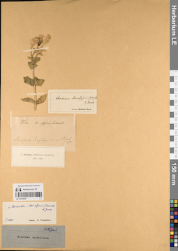 LE 01219547