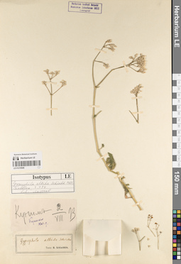 LE 01219548