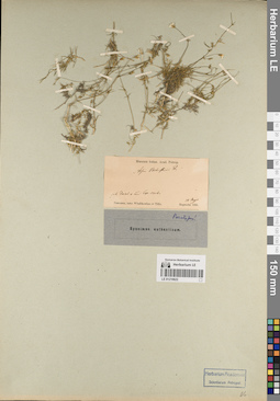 LE 01219622