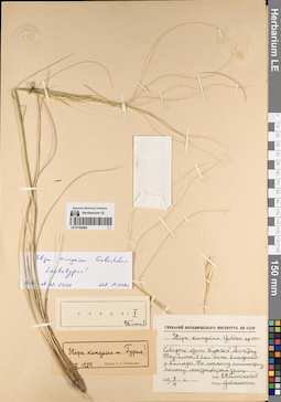 LE 01195484
