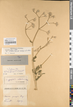 LE 01219549