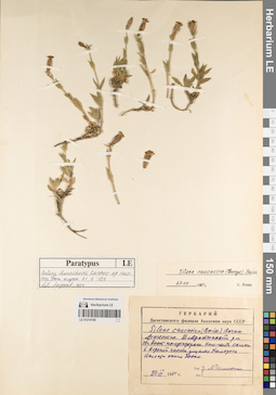 LE 01219709