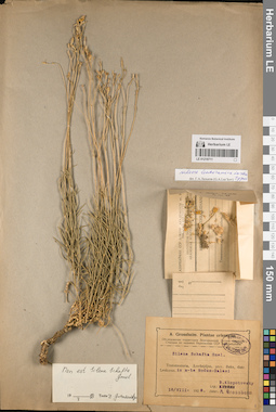 LE 01219711