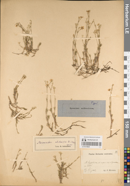 LE 01219625