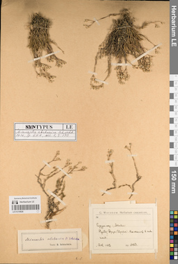 LE 01219626