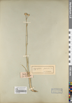 LE 01219553