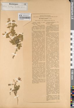 LE 01219713