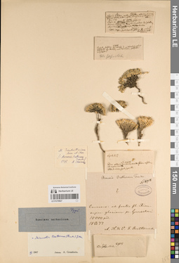 LE 01219627