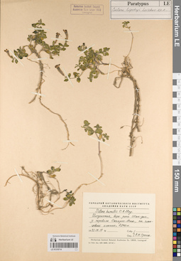 LE 01219714