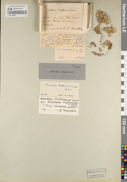 LE 01219629