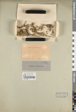 LE 01219556