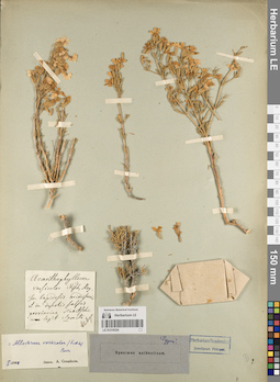 LE 01219324