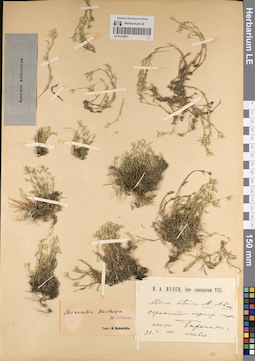 LE 01219631