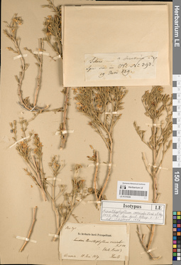LE 01219326