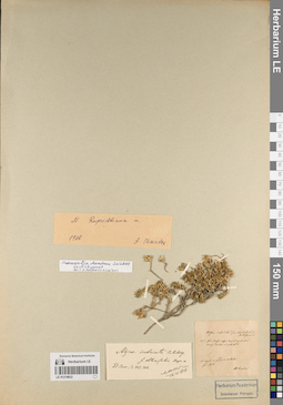 LE 01219633