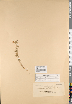 LE 01219327