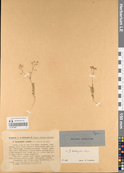 LE 01219561