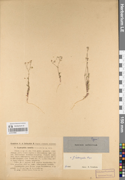 LE 01219562
