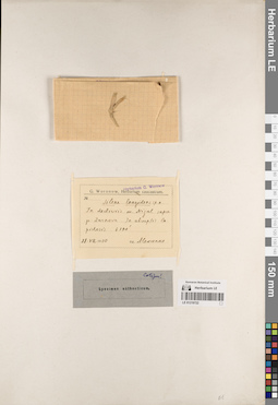 LE 01219722
