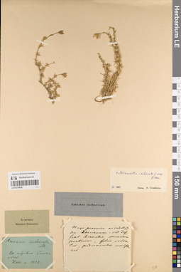 LE 01219636