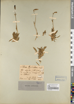 LE 01219723
