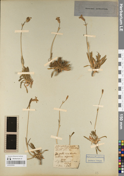 LE 01219724