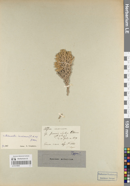 LE 01219638