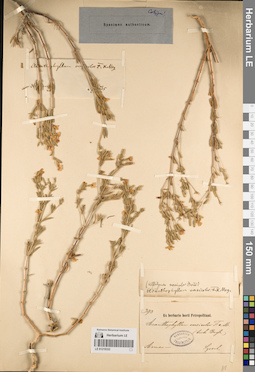 LE 01219332