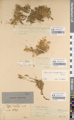 LE 01219639